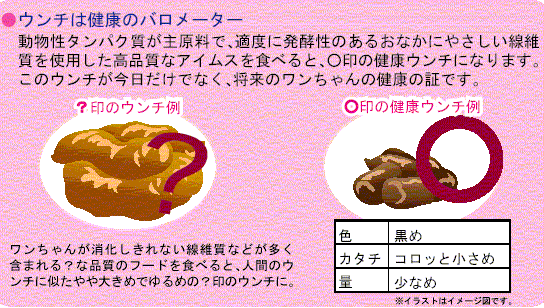 うんちの状態の例（理想的な健康うんちと、消化しきれない繊維質が多く見られる例の比較イラスト）