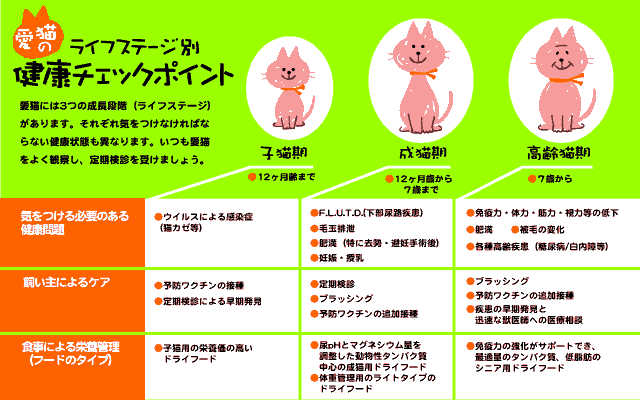 愛猫のライフステージ別健康チェックポイント一覧図