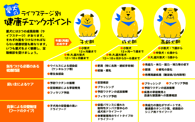 愛犬のライフステージ別健康チェックポイント一覧図