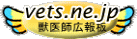 �b��t�L��̃��C���^�C�g��